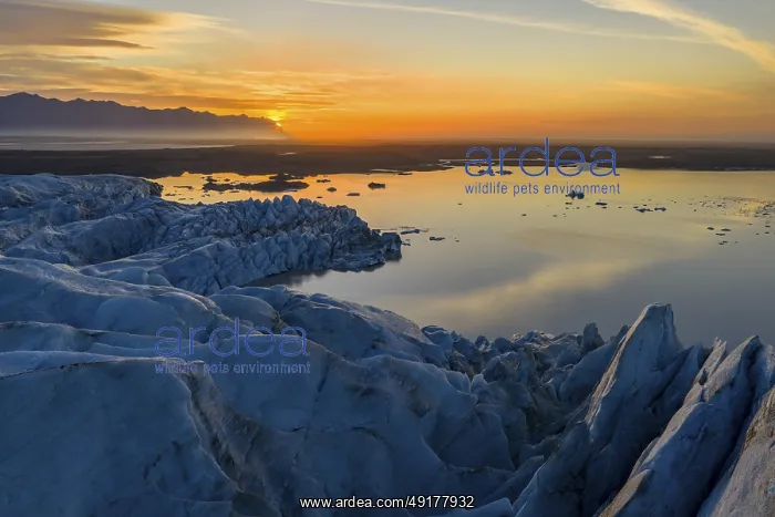 : Glacier with Fjallsarlon glacier lagoon at sunrise : Glacier with Fjallsarlon glacier lagoon at sunrise