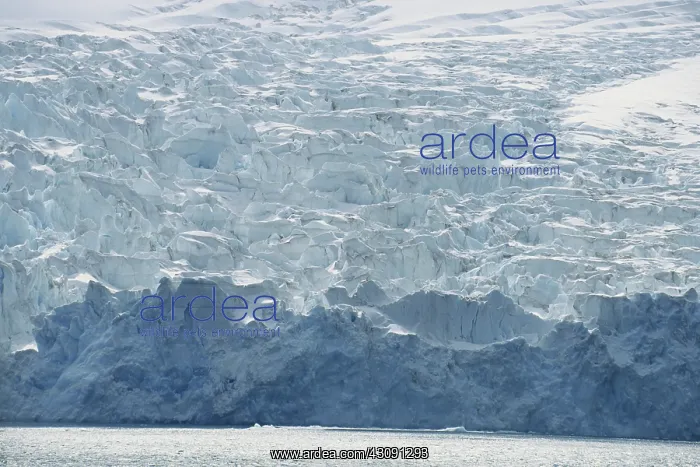 : Glacier in a Fjord : Glacier in a Fjord