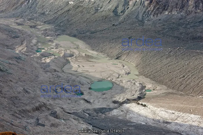 : Glacier foreland and disintegration moraine : Glacier foreland and disintegration moraine