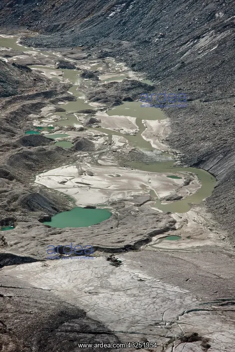 : Glacier foreland and disintegration moraine : Glacier foreland and disintegration moraine