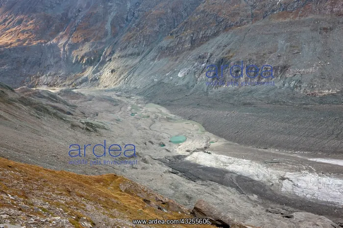 : Glacier foreland and disintegration moraine : Glacier foreland and disintegration moraine