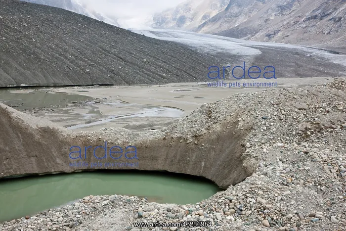 : Glacier foreland and disintegration moraine : Glacier foreland and disintegration moraine