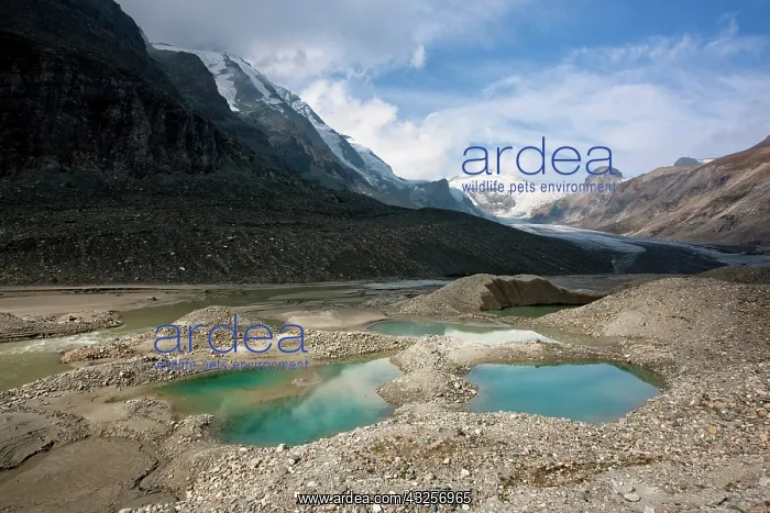 : Glacier foreland and disintegration moraine : Glacier foreland and disintegration moraine