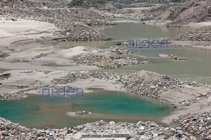 : Glacier foreland and disintegration moraine : Glacier foreland and disintegration moraine