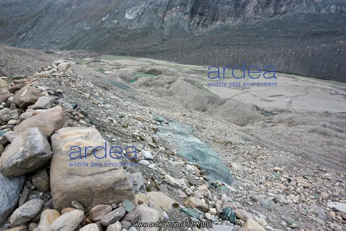 : Glacier foreland and disintegration moraine : Glacier foreland and disintegration moraine