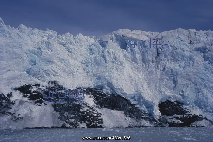 : Glacier in Glacier Bay : Glacier in Glacier Bay