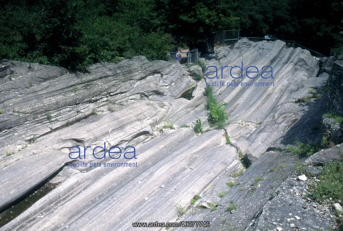 : Glacier Grooves : Glacier Grooves
