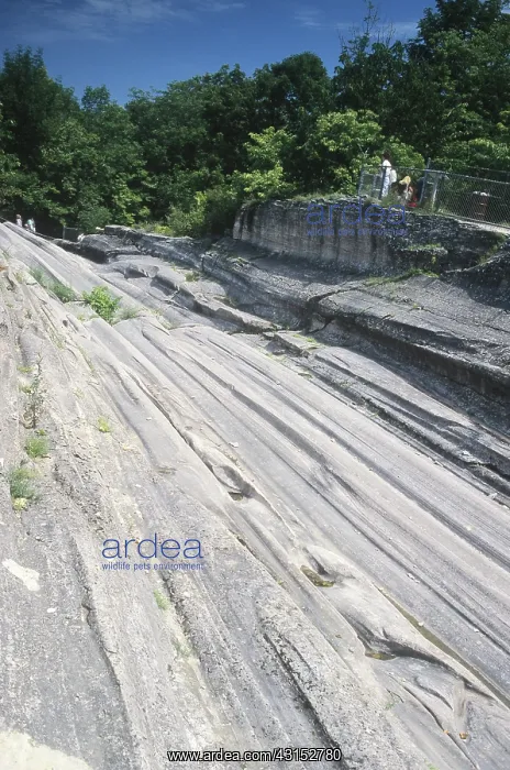 : Glacier grooves in limestone rock : Glacier grooves in limestone rock