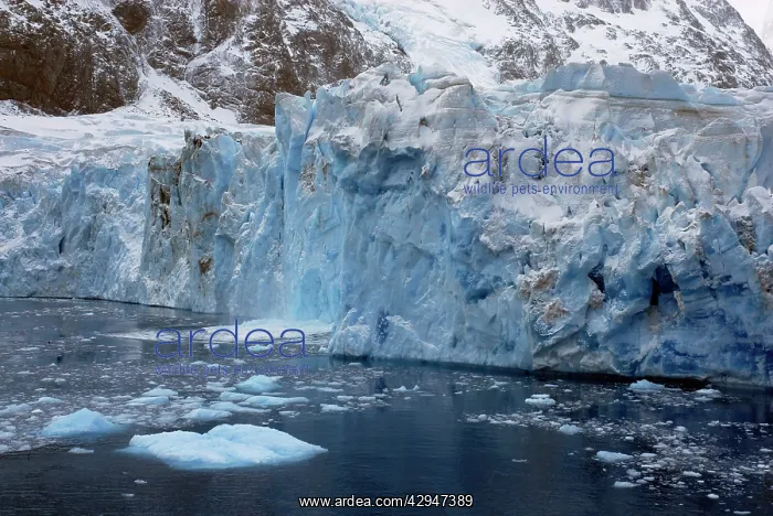 : Glacier ice in Drygalski Fjord : Glacier ice in Drygalski Fjord
