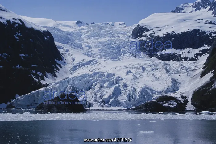  : Glacier in Kenai Fjords