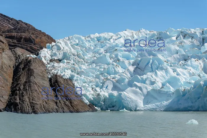 : Glacier, Lago Grey, Torres del Paine National Park : Glacier, Lago Grey, Torres del Paine National Park