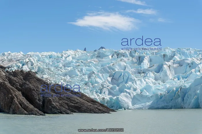  : Glacier, Lago Grey, Torres del Paine National Park