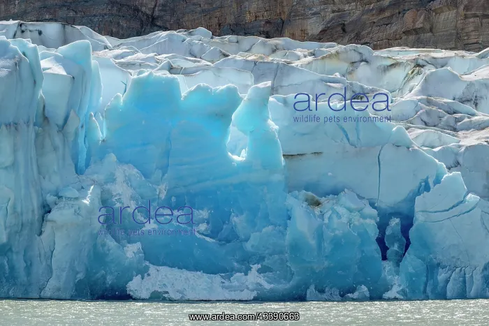 : Glacier, Lago Grey, Torres del Paine National Park : Glacier, Lago Grey, Torres del Paine National Park