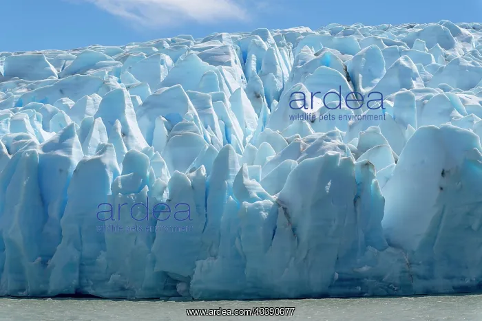 : Glacier, Lago Grey, Torres del Paine National Park : Glacier, Lago Grey, Torres del Paine National Park