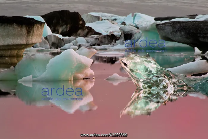 : Glacier Lagoon at sunrise, Iceland : Glacier Lagoon at sunrise, Iceland