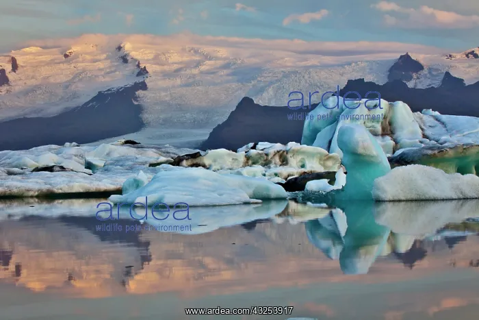 : Glacier Lagoon at sunrise, Iceland : Glacier Lagoon at sunrise, Iceland