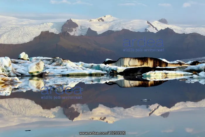 : Glacier Lagoon at sunrise, Iceland : Glacier Lagoon at sunrise, Iceland