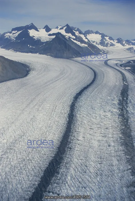 : Glacier with Moraine : Glacier with Moraine