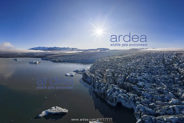 : Glacier and mountains of the Vatnajokull glacier : Glacier and mountains of the Vatnajokull glacier