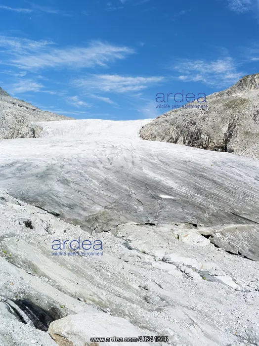 : Glacier Obersulzbachkees-Venedigerkees : Glacier Obersulzbachkees-Venedigerkees
