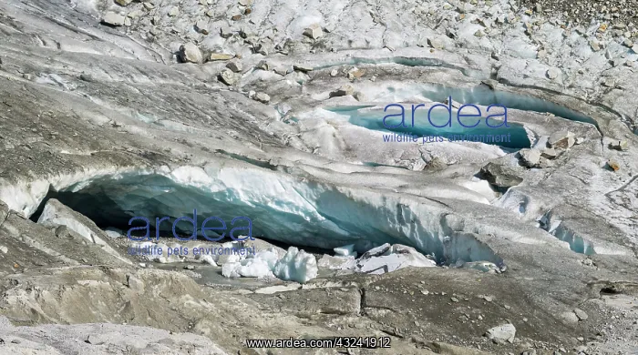 : Glacier Obersulzbachkees-Venedigerkees : Glacier Obersulzbachkees-Venedigerkees