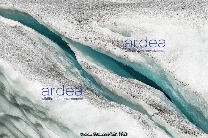 : Glacier Obersulzbachkees-Venedigerkees : Glacier Obersulzbachkees-Venedigerkees