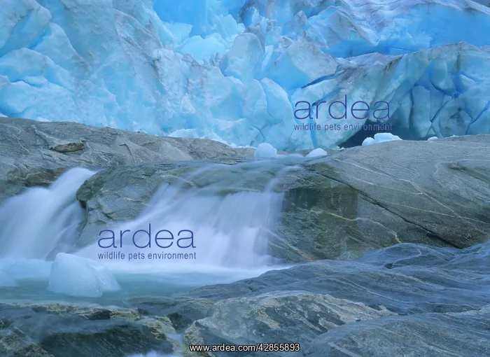 : Glacier opening - blue glacier ice and glacial : Glacier opening - blue glacier ice and glacial