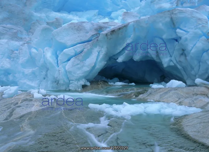 : Glacier opening - blue glacier ice and glacial : Glacier opening - blue glacier ice and glacial