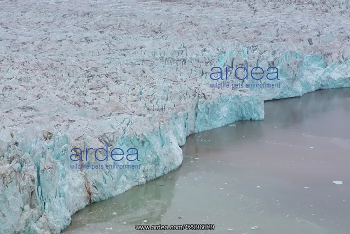 : Glacier Osbornebreen debouches into the St. Jonsfjord : Glacier Osbornebreen debouches into the St. Jonsfjord