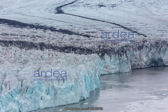 : Glacier Osbornebreen debouches into the St. Jonsfjord : Glacier Osbornebreen debouches into the St. Jonsfjord