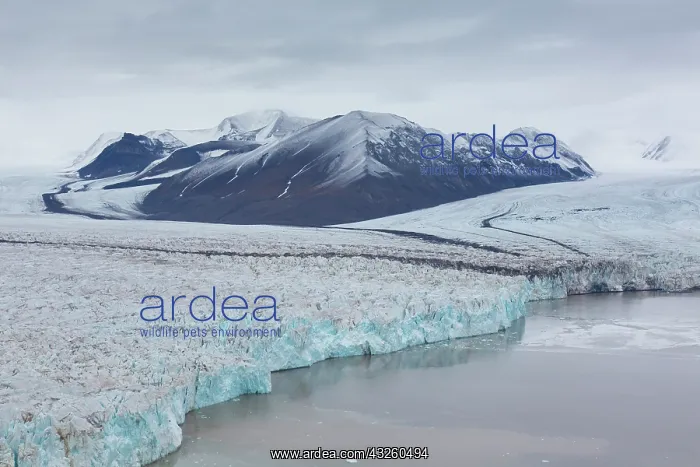 : Glacier Osbornebreen and Vintervegen debouches into : Glacier Osbornebreen and Vintervegen debouches into