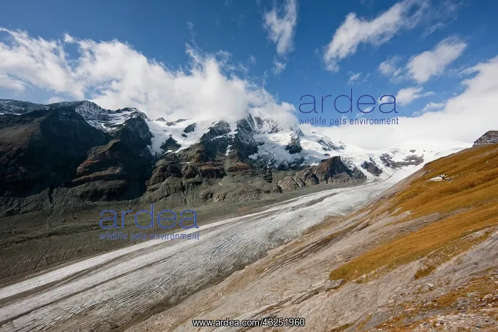 : glacier Pasterze with Mount Grossglockner : glacier Pasterze with Mount Grossglockner