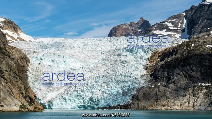: Glacier at Prins Christian Sund, Greenland, North : Glacier at Prins Christian Sund, Greenland, North