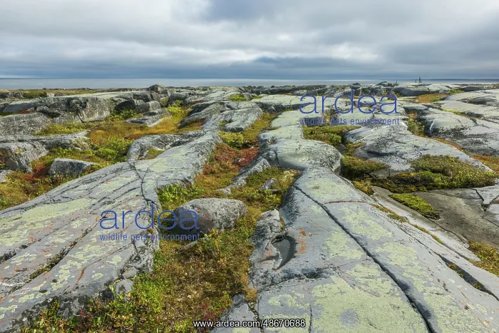 : Glacier rock formations of the arctic tundra at Hudson Bay : Glacier rock formations of the arctic tundra at Hudson Bay
