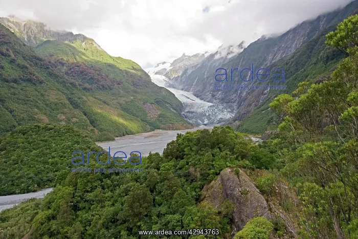 : Glacier - scenic view of Franz Josef glacier : Glacier - scenic view of Franz Josef glacier