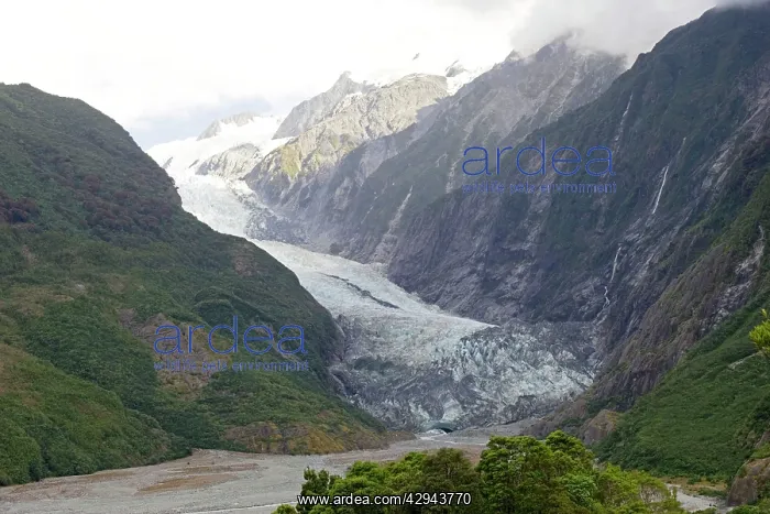 : Glacier - scenic view of Franz Josef glacier : Glacier - scenic view of Franz Josef glacier