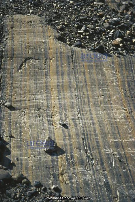: Glacier-scraped Rock : Glacier-scraped Rock