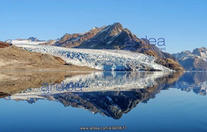 : Glacier in the Sermiligaaq Fjord, Ammassalik, Danish : Glacier in the Sermiligaaq Fjord, Ammassalik, Danish