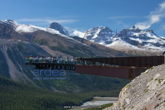  : Glacier Skywalk