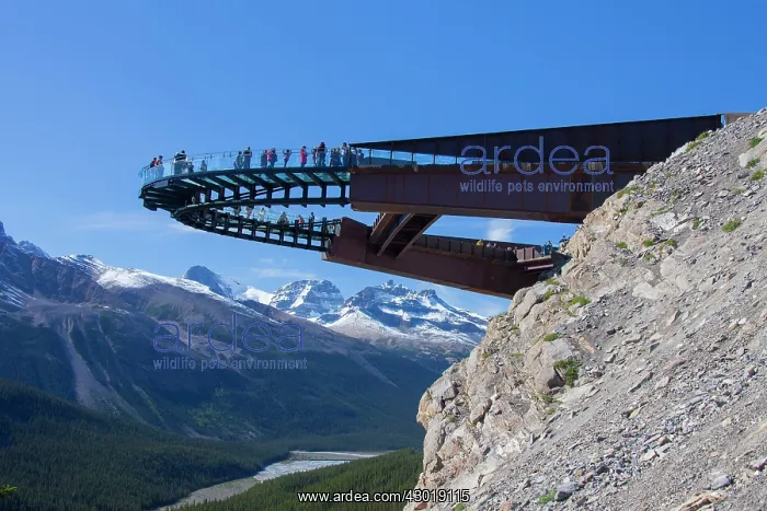  : Glacier Skywalk