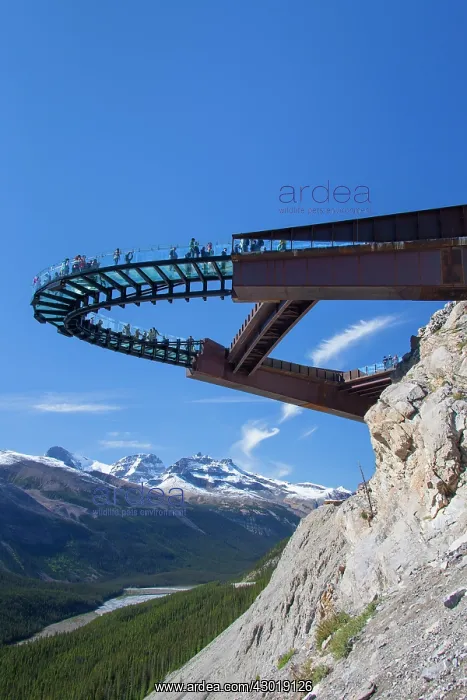  : Glacier Skywalk