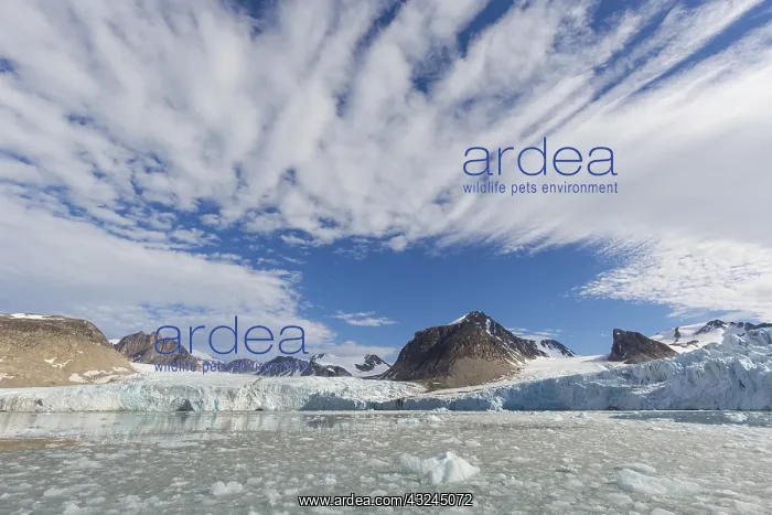  : Glacier Smeerenburgbreen debouches into the Bjornfjorden