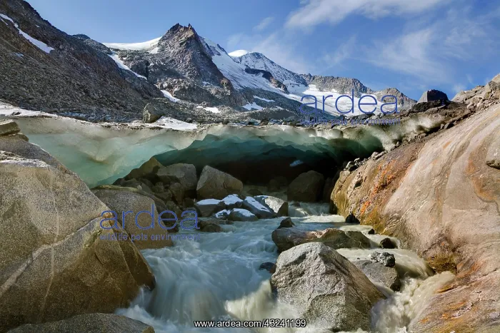 : The glacier snout with ice cave of Viltragenkees : The glacier snout with ice cave of Viltragenkees