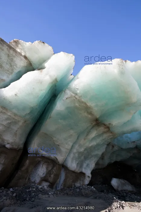 : Glacier snout of Schlatenkees. The ice shows : Glacier snout of Schlatenkees. The ice shows