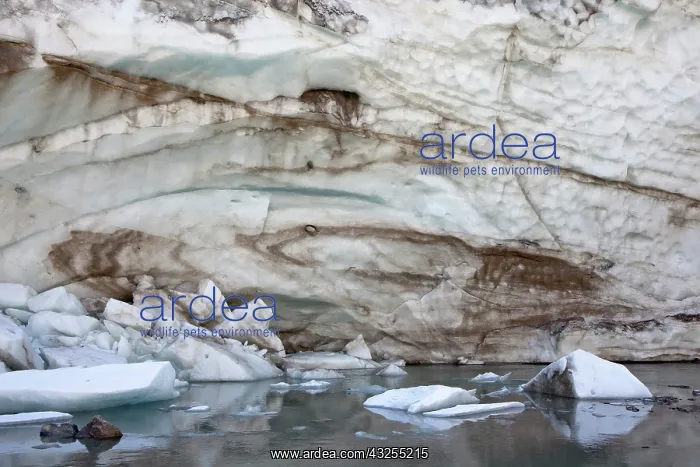 : Glacier snout of Schlatenkees. The ice shows : Glacier snout of Schlatenkees. The ice shows