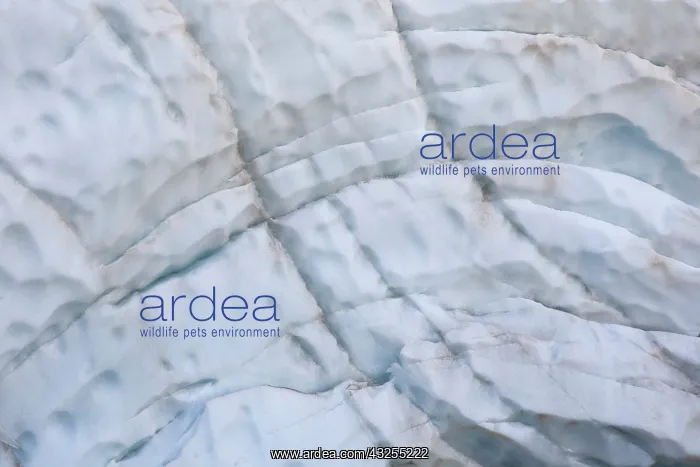 : Glacier snout of Schlatenkees. The ice shows : Glacier snout of Schlatenkees. The ice shows