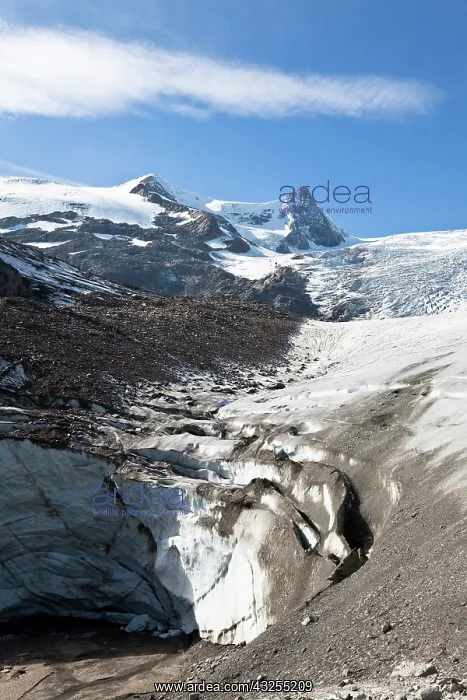 : Glacier snout of Schlatenkees. The Schlatenkees : Glacier snout of Schlatenkees. The Schlatenkees