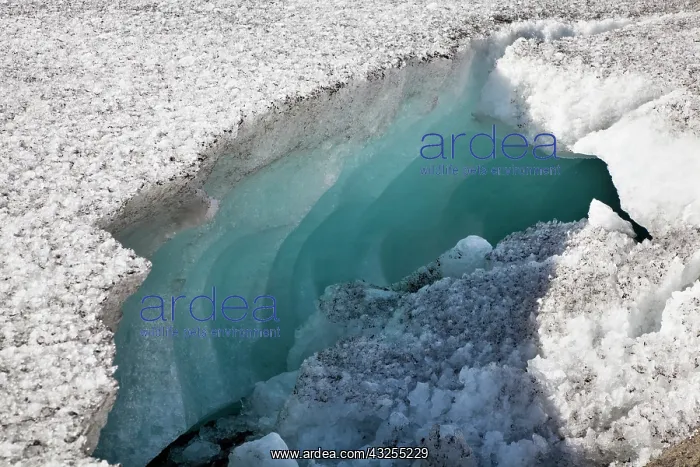 : Glacier snout of Schlatenkees. The Schlatenkees : Glacier snout of Schlatenkees. The Schlatenkees