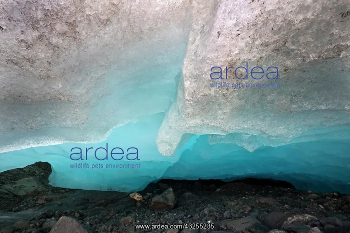 : Glacier snout of Schlatenkees. The Schlatenkees : Glacier snout of Schlatenkees. The Schlatenkees