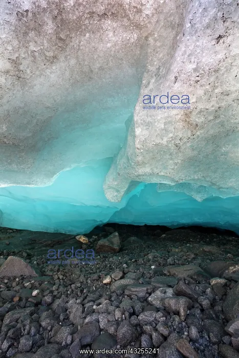 : Glacier snout of Schlatenkees. The Schlatenkees : Glacier snout of Schlatenkees. The Schlatenkees